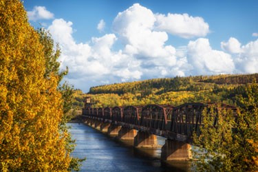 train bridge between trees in autumn