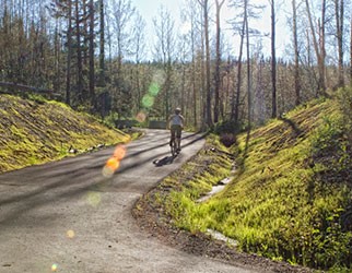 bike rider on trail