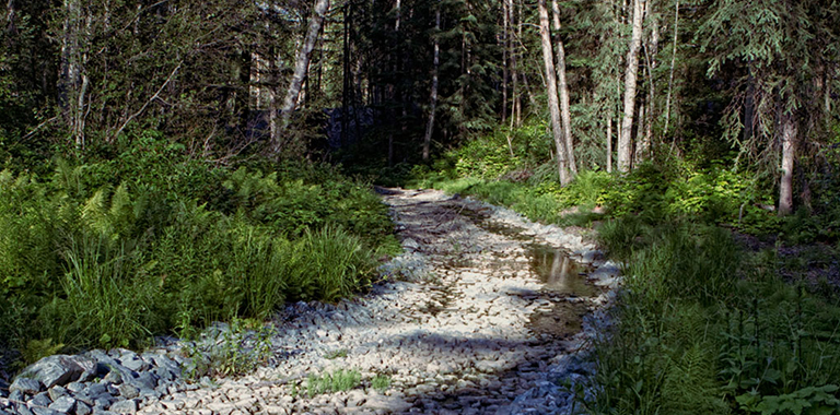 rock trail into the forest